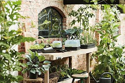 Elho Kweekhuis Green Basics m 35cm - Transparant