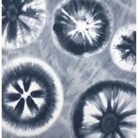 Kussenhoes Pierre Cardin ELECTRA Multicolour 50 x 50 cm - thumbnail