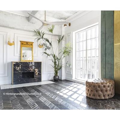 CasaFan ECO AIRSCREW 152 MG-BW Plafondventilator 28 W (Ø x h) 1520 mm x 275 mm Messing Met afstandsbediening, Met wintermodus CasaFan ECO AIRSCREW 152 MG-BW Plafondventilator 28 W (Ø x h) 1520 mm x 275 mm Messing Met afstandsbediening, Met wintermodus