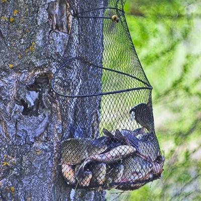 FIAP 1670 Leefnet Maasbreedte: 6 mm (Ø x h) 350 mm x 1500 mm FIAP 1670 Leefnet Maasbreedte: 6 mm (Ø x h) 350 mm x 1500 mm