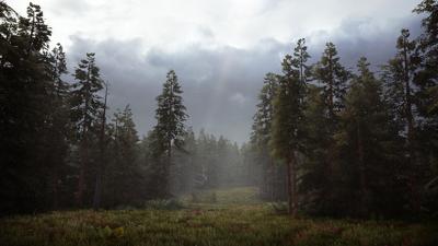 PS4 Hunting Simulator 2