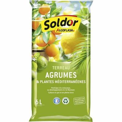 ALGOFLASH - Citrus en Mediterrane Plantaarde 6 L ALGOFLASH - Citrus en Mediterrane Plantaarde 6 L