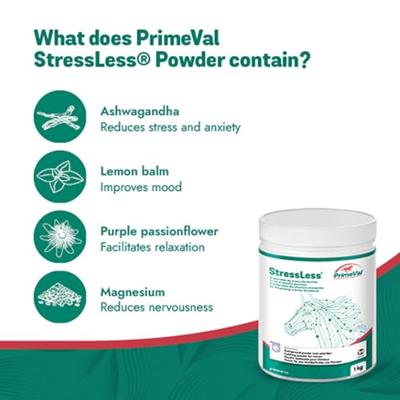 Primeval Stressless