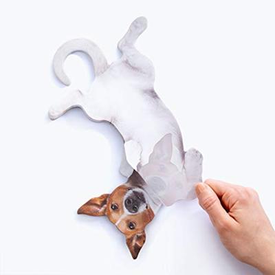 Mosterd Hond Hangende Notities