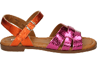 Red Rag 79666 - alle - thumbnail