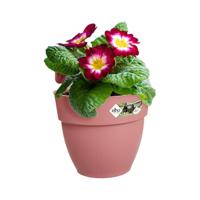 ELHO - Bloempot - Vibia Campana Easy Hanger Small - Dusty Rose - Buitenbalkon - L 24,1 x B 20,5 x H 26,5 cm - thumbnail