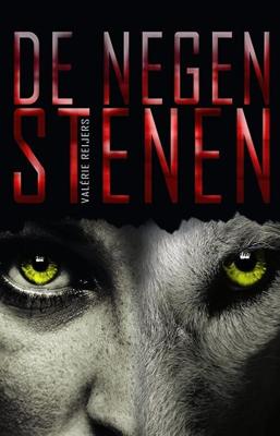 De negen stenen - Valerie Reijers - eBook (9789463083881)