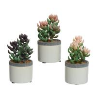 Kunstplant vetplant in pot keramiek H14 - thumbnail