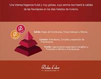 Geurolie Brumas de ambiente 50 ml Winter fruits Boles d'olor - Boles d olor - thumbnail