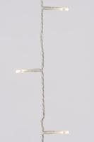 Kerstverlichting LED rice lights buiten transparant 3 meter 40L Lumineo - Lumineo - thumbnail