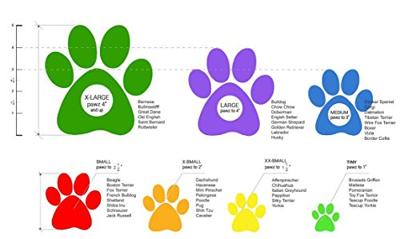 PAWZ Kleding Pawz hondenlaarzen, waterdicht, maat M, tot 7,6 cm, blauwe hondenlaarzen, blauw, 12 stuks per stuk verpakt EU