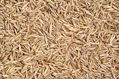 Wolf Garten Gazon sport&spel LG 250 - 3825030