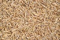 Wolf Garten Gazon sport&spel LG 250 - 3825030 - thumbnail