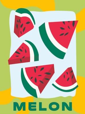 Ravensburger Creart schilderen op nummer - meloen