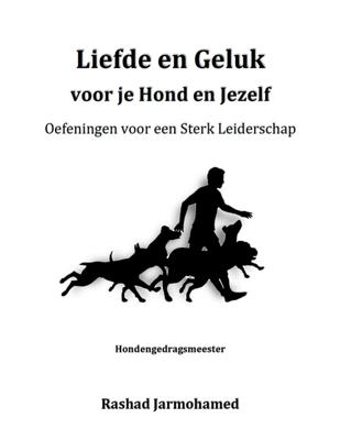 Oefeningen voor een Sterk Leiderschap - Rashad Jarmohamed - ebook