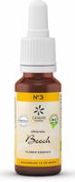 Bach Bloesem Beech bio 20 Milliliter - thumbnail