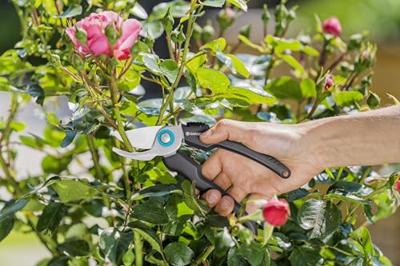 GARDENA Ecoline 12210-20 Tuinschaar Bypass - thumbnail