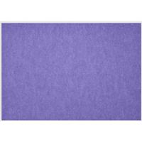 Daff Easy.PET Placemat Plastic Viola 31cm x 42cm - thumbnail