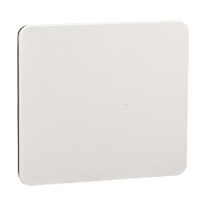 Schneider Electric 13138 Polymeer Grijs-wit (RAL 7035) 1 stuk(s)