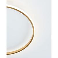 Lyora Ronde plafondlampFuline goud Ø 50cm - 9348071 - thumbnail