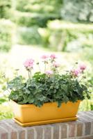 Elho Barcelona trough saucer 70 honey yellow - thumbnail