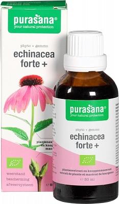 Purasana Echinacea Forte+ Druppels