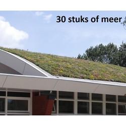 Minimaal 30 stuks! Dakgroen Sedummixmat Compleet (incl. drainage type 11c & 3 zakken daktuinsubstraat) per 1.2 m2 max. 25 graden Sempergreen - Sempergreen Minimaal 30 stuks! Dakgroen Sedummixmat Compleet (incl. drainage type 11c & 3 zakken daktuinsubstraat) per 1.2 m2 max. 25 graden Sempergreen - Sempergreen