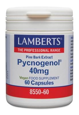 Lamberts Pijnboombast extract (Pycnogenol 40mg) 60 Vegetarische capsules Lamberts Pijnboombast extract (Pycnogenol 40mg) 60 Vegetarische capsules