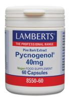 Lamberts Pijnboombast extract (Pycnogenol 40mg) 60 Vegetarische capsules - thumbnail