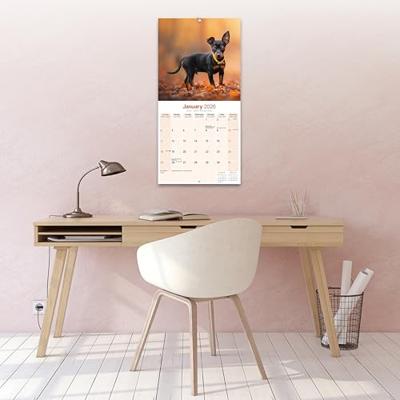 Miniature Pinscher Calendar 2026 Square Dog Breed Wall Calendar - 16 Month