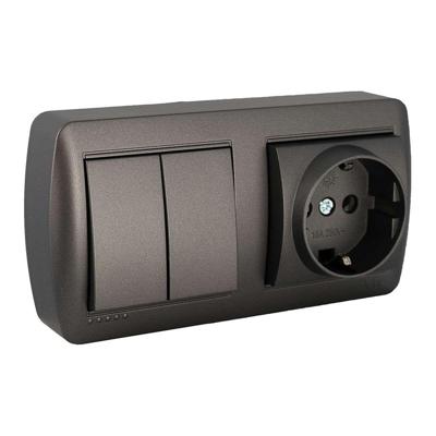 Dubbele Stopcontact + Schakelaar Basis Solera Mural 2p+t 250 V 16 A Grafiet Dubbele Stopcontact + Schakelaar Basis Solera Mural 2p+t 250 V 16 A Grafiet