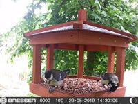 BRESSER SFC-1 Vogel- en Kleindier Observatiecamera - thumbnail