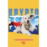 Poster Superman Krypto 61x91,5cm - thumbnail