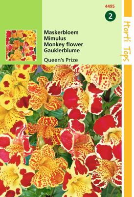 Zaden Mimulus Maskerbloem Queen's Prize Hortitops - Hortitops