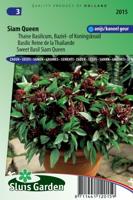 Basilicum zaden Siam Queen - thumbnail