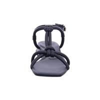 Paul Green 6036 - alle - thumbnail