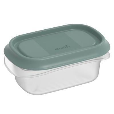 Rotho ELEMENTS Koelkast Bewaardoos 12x8x5 cm 0.2L Mistletoe Groen/Transparant