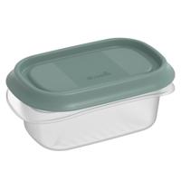 Rotho ELEMENTS Koelkast Bewaardoos 12x8x5 cm 0.2L Mistletoe Groen/Transparant - thumbnail