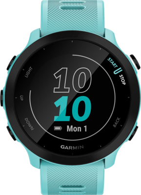 Garmin Forerunner 55 2,64 cm (1.04") MIP 42 mm Digitaal 208 x 208 Pixels GPS