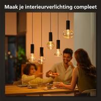 Philips Hue Lightguide Cord - 929003152101 - thumbnail