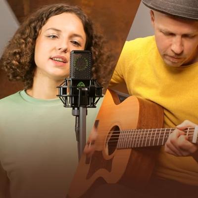 Lewitt LCT 441 FLEX grootmembraan condensatormicrofoon