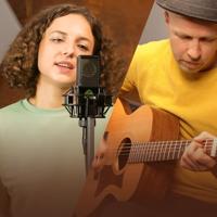 Lewitt LCT 441 FLEX grootmembraan condensatormicrofoon - thumbnail