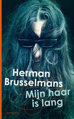 Mijn haar is lang - Herman Brusselmans - ebook