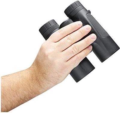 Bushnell Powerview 10x42