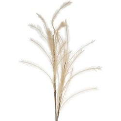 Kunsttak pluimen lichtbruin 108 cm | 12 stuks