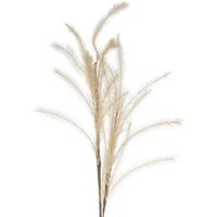 Kunsttak pluimen lichtbruin 108 cm | 12 stuks - thumbnail