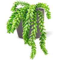 Sedum Donkey tail kunstplant 25cm - thumbnail