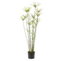 Wants&Needs Plants Kunstplant Cyperus - thumbnail