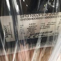 Schneider Electric Servomotor SH31002P02F2000 - thumbnail