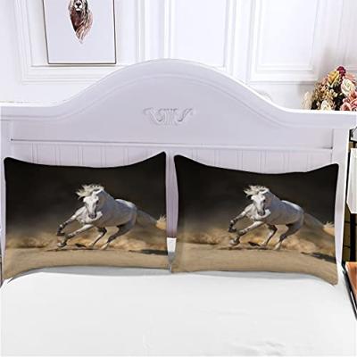 Ergon zadel sms sport heren s/m